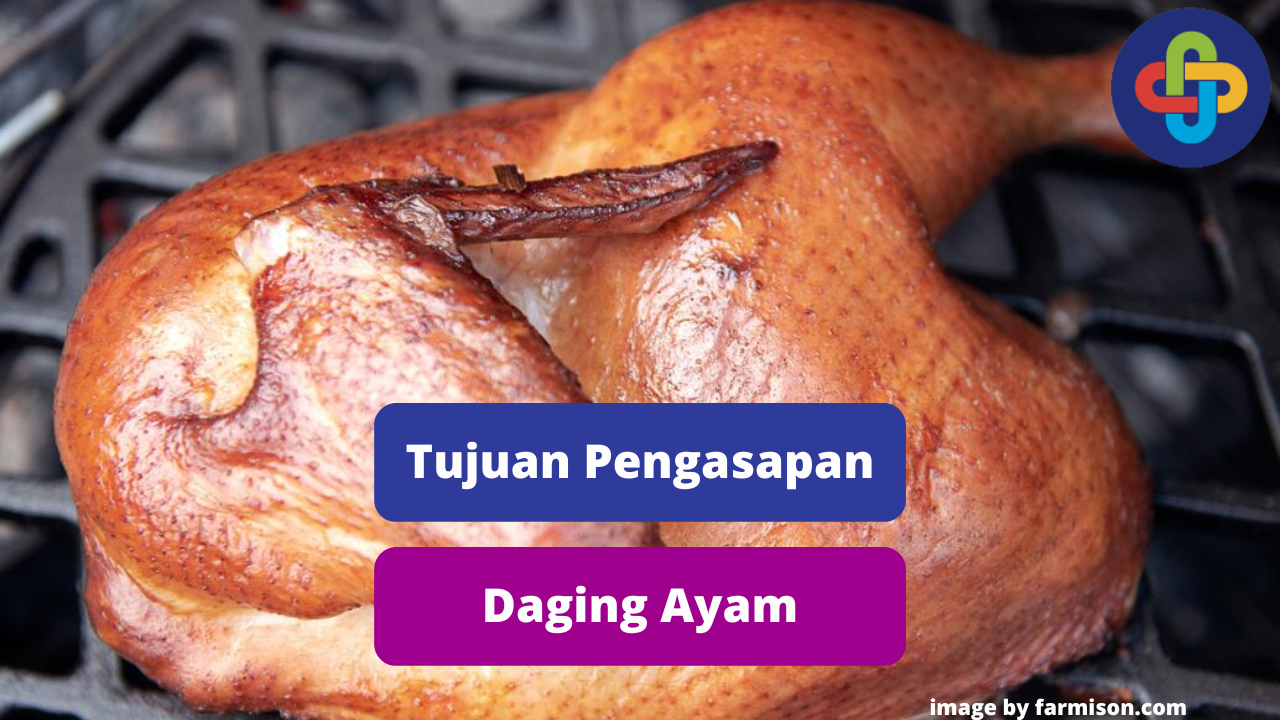 Ketahui 4 Tujuan Pengasapan Daging Ayam